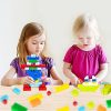 51xHu7JSIfS._AC_.jpg iNeego Briques de Construction de 1000 Pièces Bloc de Construction Fille et Garçon Boîte de Briques Jouet pour Enfants 6 Ans et Plus, Compatible avec d'autres Marques, 6 Couleurs Classiques, 6 Formes