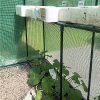 61HuY4jl5iS._AC_.jpg SKYLANTERN Serre de Jardin en Plastique - Serre Jardin avec étagères et Fermeture à Zip - Tente Abri pour Plante et Culture (Dimensions : 125 x 190 x 190 cm)