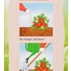 Compo Engrais Bio pour Baies de Longue durée avec Laine de Mouton - Engrais Naturel Organique pour Toutes Les Plantes et arbustes à Baies de même Que pour Les Fruits à Noyau et à pépins 2 kg Marron