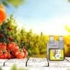 41MQ654ePtL.jpg Bio Technology® | Engrais Biologique et Naturel | Engrais Floraison | Fertilisant Floraison Organique | Engrais Complet Floraison | respectueux de l’Environnement | ORGA Bloom – 250 ML