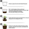 41ex0FworQS._AC_.jpg Alvinlite Poudre d'enracinement d'hormone, Aide d'enracinement, Poudre de Racine d'hormone, Engrais naturels 55g