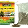 41v0FhzqD2L._AC_.jpg SOLABIOL SOPALMY15 Engrais palmiers et plantes méditerranéennes 1,5 Kg, Utilisable en Agriculture Biologique
