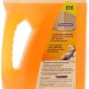 MICHELIN 009292 Lave-Glace Été Anti-Insectes, 4 L
