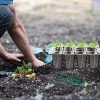 51UQixgBQL._AC_.jpg Mengxin 10 Pièce Plateaux de Culture Épaissir Mini Serre de Jardin 12 Trous avec Couvercle, Outils de Plantation, Étiquettes de Plantes Convient pour la Germination des Graines
