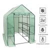 512iegqQQWS.jpg WOLTU GWH00502gn Serre de Jardin PE pour légumes avec Porte, Vert, 143x143x195cm