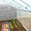 51EWitE1anS._AC_.jpg Serre de Jardin Polycarbonate et Aluminium 12m2