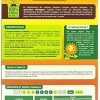 51HUbsr4GOL._AC_.jpg SOLABIOL SOPALMY15 Engrais palmiers et plantes méditerranéennes 1,5 Kg, Utilisable en Agriculture Biologique
