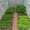 51W2Td0EhTL._AC_.jpg Garden Point La Serre en Polyéthylène 3,5 x 2 x 2 m Serre de Jardin Tunnel Serre maraichère avec Cadre en Acier Galvanisé de la diamètre 25mm (Blanc)