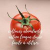 R'Garden | Engrais Organique Tomates, Potager & Pommes de Terre | Engrais Ecologique Biologique | Fertilisant Naturel | Nourrit en Profondeur | Facile d’Utilisation | 1KG