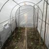 51pVYJhD-L._AC_.jpg Garden Point La Serre en Polyéthylène 3,5 x 2 x 2 m Serre de Jardin Tunnel Serre maraichère avec Cadre en Acier Galvanisé de la diamètre 25mm (Blanc)
