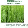 ILANDIUM Purin de prêle 2L | Produit 100% Naturel, Liquide et concentré | Made in France | Jusqu'à 40L de préparation | Biostimulant écologique pour Le Traitement Bio des légumes, Fleurs et fruitiers