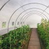 616QwAbvq0L._AC_.jpg IDMarket - Serre Tunnel de Jardin 24m² Blanche Gamme maraîchère des Andes 8x3M