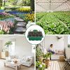 61JsqvTnNML._AC_.jpg Mengxin 10 Pièce Plateaux de Culture Épaissir Mini Serre de Jardin 12 Trous avec Couvercle, Outils de Plantation, Étiquettes de Plantes Convient pour la Germination des Graines