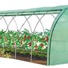 IDMarket - Serre Tunnel de Jardin 4 Saisons 24M² Verte IDMarket - Serre Tunnel de Jardin 4 Saisons 24M² Verte Gamme maraîchère des Andes 8x3M