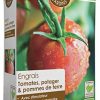 R'Garden | Engrais Organique Tomates, Potager & Pommes de Terre | Engrais Ecologique Biologique | Fertilisant Naturel | Nourrit en Profondeur | Facile d’Utilisation | 1KG