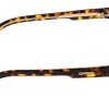 31FF763s2L._AC_.jpg Carrera Lunettes de Soleil Homme