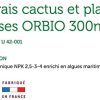 418GbSRpFEL._AC_.jpg OR BRUN Engrais Cactus et Plantes Grasses, Vert, 300 ml