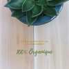 R’Garden | Engrais Organique Plantes Grasses | Engrais Ecologique | Fertilisant Naturel | Nourrit en Profondeur | Facile d’Utilisation | 500G