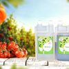 Bio Technology® | Engrais de Croissance Universel Minéral | Fertilisant de Croissance | Haute efficacité pour Tous Types de Culture | Améliore Les Performances | Grow A+B - 1 L