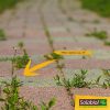 510BtwwF7bL._AC_.jpg Solabiol SOCOUR200 Désherbant Cours/Allées/Terrasses Ultra Concentré 200 ML, Jusqu'à 89m