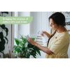 1L Engrais Bio Plantes Vertes - Intérieur et Extérieur - Feuilles et Racines Saines, Fortes et Vigoureuses - Fertilisant et Stimulateur de Croissance - Spray Prêt à l'Emploi