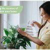 250ml Engrais Liquide Bio pour Bonsaïs - Améliore la Solidité des Bonsaïs et la Fertilité du Sol - 100% Naturel Fabriqué en Espagne - Spray Prêt à l'Emploi