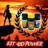 511sABj0f4L._AC_.jpg MADAME GROW - Engrais Organique - Engrais Floraison - KIT Power - 3PACK - 3x250ml