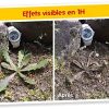 515ETSdEEL._AC_.jpg Roundup Désherbant Allées Cours et Terrasses Prêt à l'emploi, 1,2L