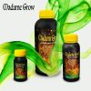 51C13WtSQYL.jpg MADAME GROW - Engrais Organique - GROWTH ACCELERATOR (500ml)
