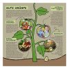 madebymade Engrais organique de qualité supérieure à base d'insectes - 2,5 kg - Engrais naturel pour légumes - Fabriqué en Allemagne - Engrais naturel pour gazon naturel.