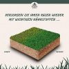 51cBKGDFYjL._AC_.jpg Bloom & Green Calcaire de jardin pour un relâchement durable du sol & structure ramasse-miettes I Charbon acidifié naturel pour augmenter le rendement I Prévient la formation de mousse I 5kg pour 50m²