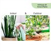 1L Engrais Bio Plantes Vertes - Intérieur et Extérieur - Feuilles et Racines Saines, Fortes et Vigoureuses - Fertilisant et Stimulateur de Croissance - Spray Prêt à l'Emploi