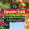 51gWZI1-q2L._AC_.jpg bleu & marine Bretania Sel Epsom Engrais de Jardin Universel Ecologique 1.2 kg Fertilisant Potager Nutriment Plantes d'intérieur, Feuilles Jaunes, Tomates, Pelouse