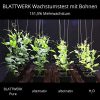 3x 1 litre BLATTWERK Engrais universel organique pur, végétalien et NPK organique. Engrais naturel liquide à base d'herbe pour le gazon, les fruits/légumes, les plantes de balcon/jardin