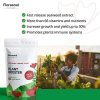 Florasoul Plant Booster Fertilisants Bio Vegan Pour Croissance et Vitalité 100% Hydrosoluble Inodore Engrais Universel pour Potager Jardin, Balcon et Plante Interieur Certifié Bio Vegan 500g/500l