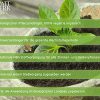3x 1 litre BLATTWERK Engrais universel organique pur, végétalien et NPK organique. Engrais naturel liquide à base d'herbe pour le gazon, les fruits/légumes, les plantes de balcon/jardin
