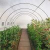 OSE Bâche pour Serre Tunnel Blanche Transparente 6 m²