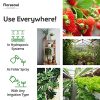 Florasoul Plant Booster Fertilisants Bio Vegan Pour Croissance et Vitalité 100% Hydrosoluble Inodore Engrais Universel pour Potager Jardin, Balcon et Plante Interieur Certifié Bio Vegan 500g/500l