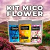 61iONtzwLL.jpg MADAME GROW - Engrais Hydrosolubles - Thrichodermas, Floraison et Acides Aminés pour Plantes - MICO FLOWER PACK -(100gr+50gr+30gr)