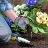 Yissvic 12 Pièces Outils de Jardinage Sac de Rangement Outils de Jardin Arrosoir Gants de Jardinage Cadeau Les Personnes âgées
