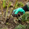 61yJWPgFXvS._AC_.jpg 4 paires de gants de jardinage avec griffes imperméables et respirants pour creuser, planter, désherber, protéger les ongles et les doigts, meilleur cadeau de jardinage pour homme et femme