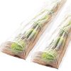 IDMarket - Lot de 2 Tunnels de forçage accordéon 4M