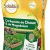 SOLABIOL SOCHAUX10 Carbonate De Chaux Et De Magnésium 10kg, Efficace SOLABIOL SOCHAUX10 Carbonate De Chaux Et De Magnésium 10kg, Efficace