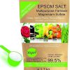 bleu & marine Bretania Sel Epsom Engrais de Jardin Universel bleu & marine Bretania Sel Epsom Engrais de Jardin Universel Ecologique 1.2 kg Fertilisant Potager Nutriment Plantes d'intérieur, Feuilles Jaunes, Tomates, Pelouse