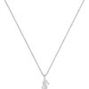 21cS1CL0H0L._AC_.jpg Elli Collier Court Hippocampe