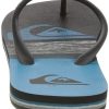 41PjEcruRPL._AC_.jpg Quiksilver Molokai Everyday Paradise, Tongs. Homme