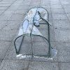 618xJhn-3AL._AC_.jpg Blanketswarm Serre tunnel de jardin portable 120 x 60 x 50 cm avec ouverture zippée pour plantes d'intérieur ou d'extérieur