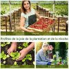61An8ulCWL._AC_.jpg Outsunny Mini Serre de Jardin Serre à tomates dim. 180L x 90l x 90H cm Acier PE Haute densité 140 g/m² Anti-UV 2 fenêtres zippées enroulables Vert