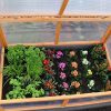 Hecht HF 001 Serre pour jeunes plants, tomates, semis
