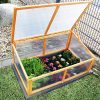 Hecht HF 001 Serre pour jeunes plants, tomates, semis